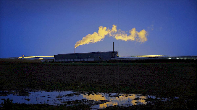 2022 Pangolin Doxx Films