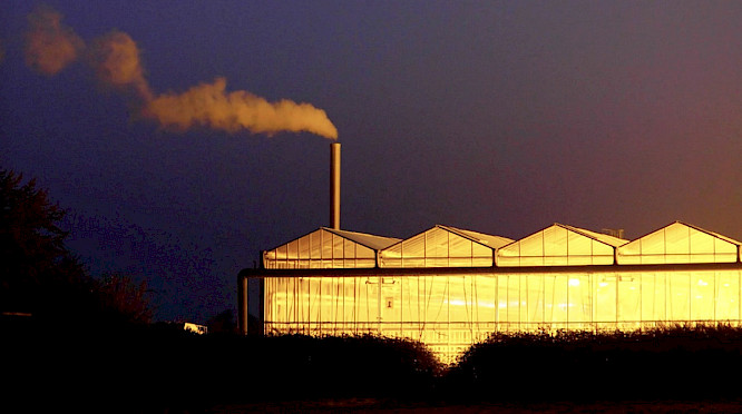 2022 Pangolin Doxx Films