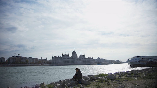 THE HUNGARIAN PLAYBOOK