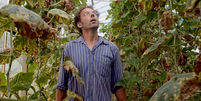 2022 Philipp Petruch