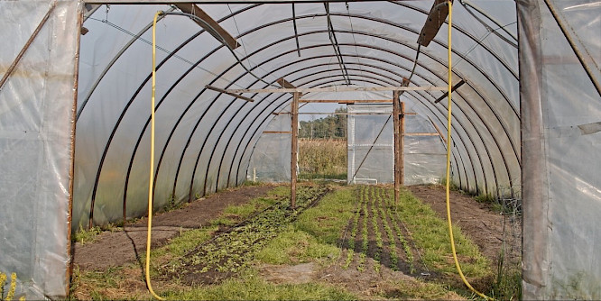 2022 Philipp Petruch