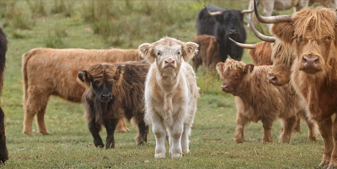 2022 Philipp Petruch