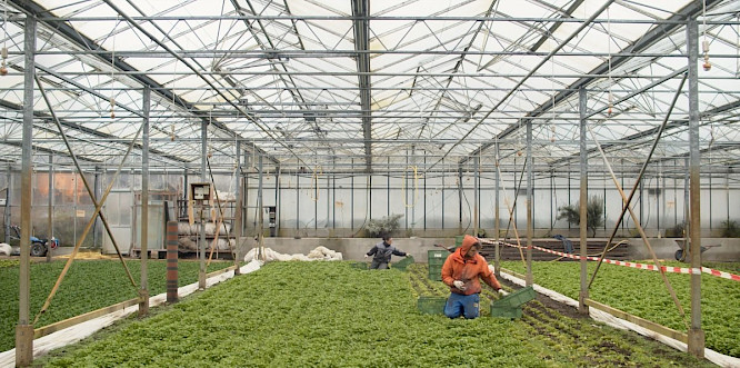 2022 Philipp Petruch