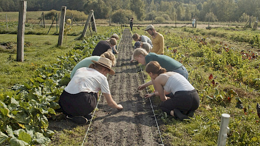 SHARING THE HARVEST