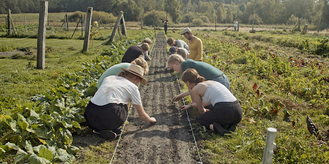 2022 Philipp Petruch