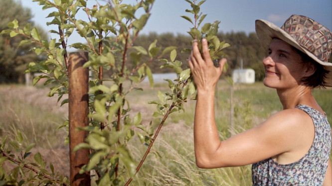 2022 Philipp Petruch