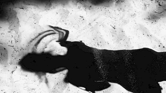 2022 Jasmin Prei&szlig;