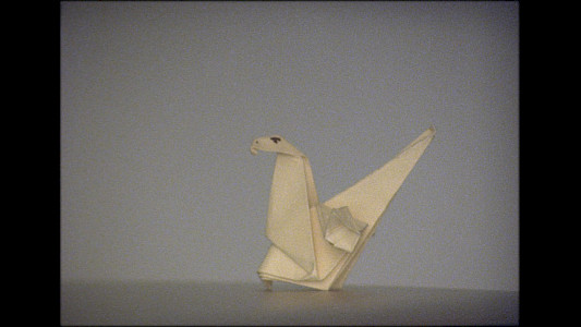 THEY WANTED TO BE LOVED