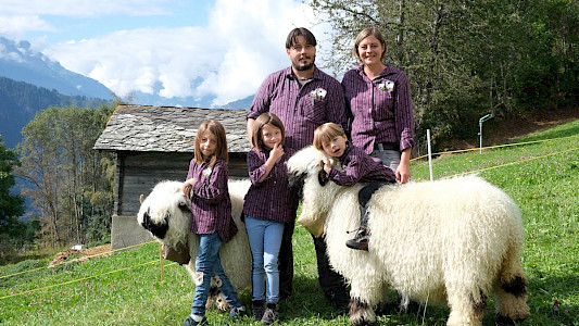 THE BEST LOOKING BLACKNOSE SHEEP