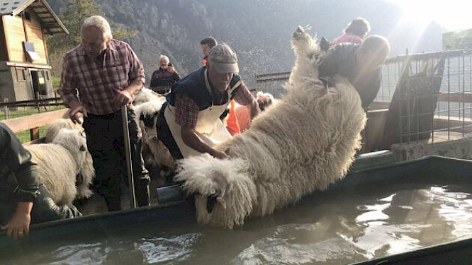 2022 Christ Media | NEW DOCS