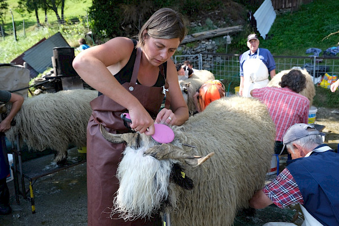 2022 Christ Media | NEW DOCS