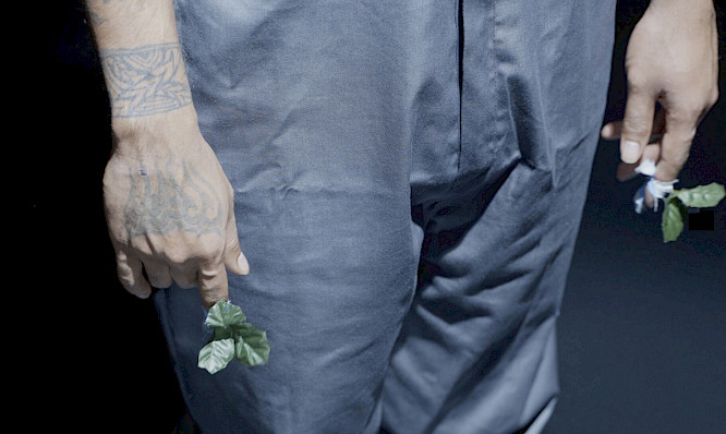 2022 T&Ograve; SU Film OHG