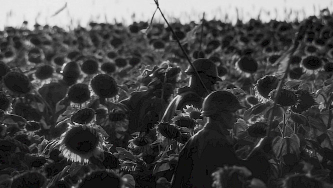 2023 Trimafilm GmbH |  Babylon '13