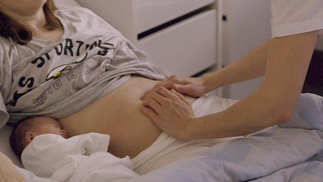 2022 Sophie Dettmar&nbsp;