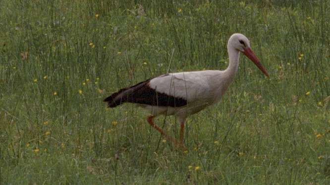 2023 Ewelina Rosinska | DFFB