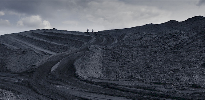  2022 Elemag Pictures | Catpics