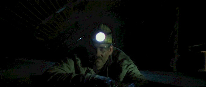 2022 Elemag Pictures | Catpics