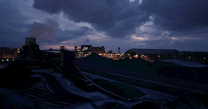 2022 Elemag Pictures | Catpics