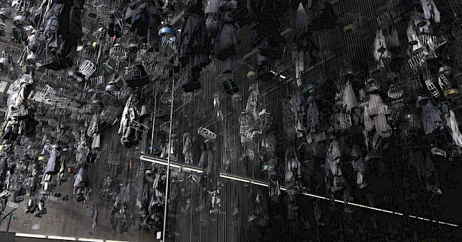 2022 Elemag Pictures | Catpics