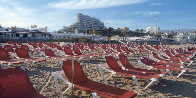 2023 Glass Frog Films