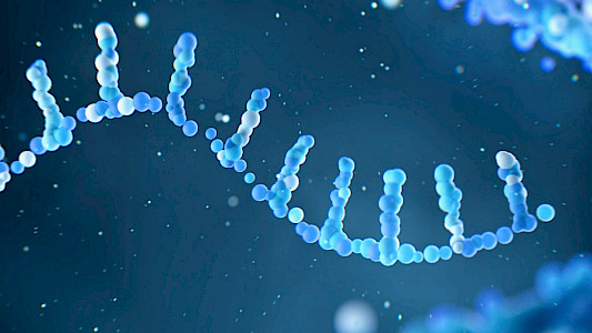 mRNA &ndash; HYPE OR HOPE