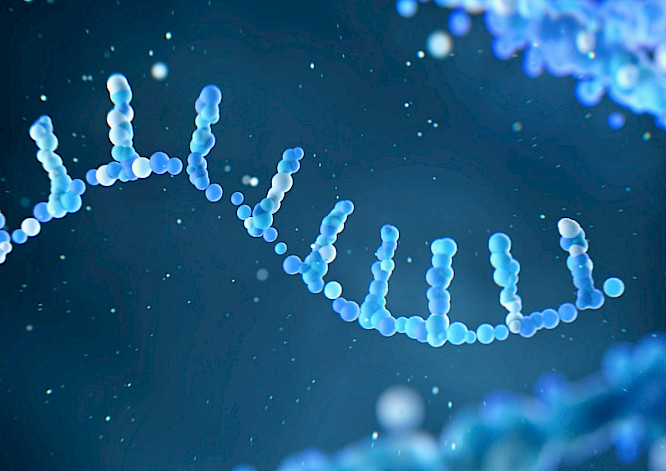 2022 NEW DOCS | doc.station GmbH