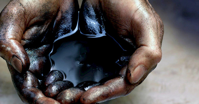 2022 NAVIGATOR | VIVE LA DOK | NEW DOCS