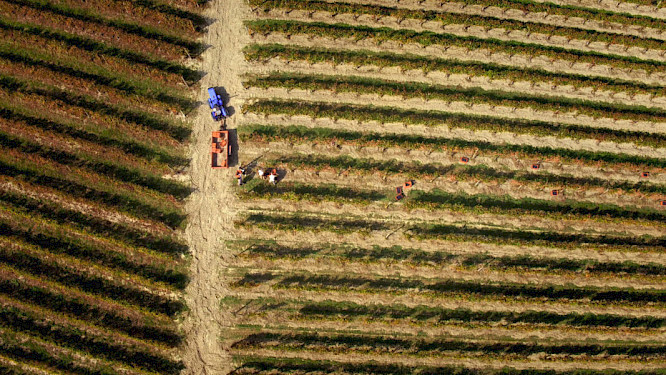 2022 Florianfilm | NEW DOCS