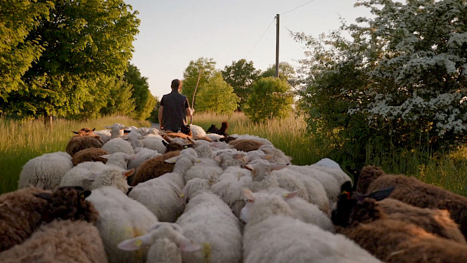 2021 telekult Film- und Medienprod. | NEW DOCS 