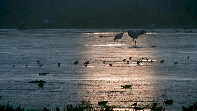 2021 telekult Film- und Medienprod. | NEW DOCS 