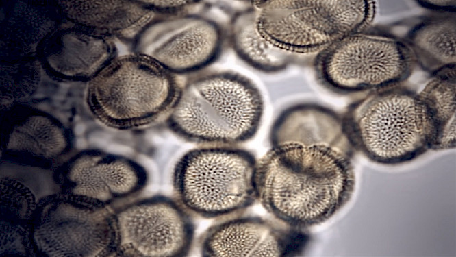 2022 k22film | NEW DOCS