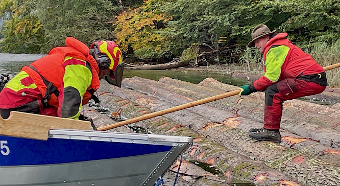 The Log Rafters of Lake Aegeri