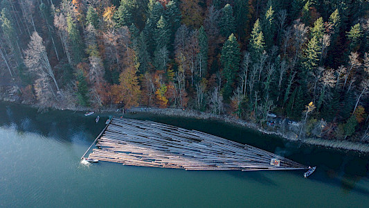 THE LOG RAFTERS OF LAKE AEGERI