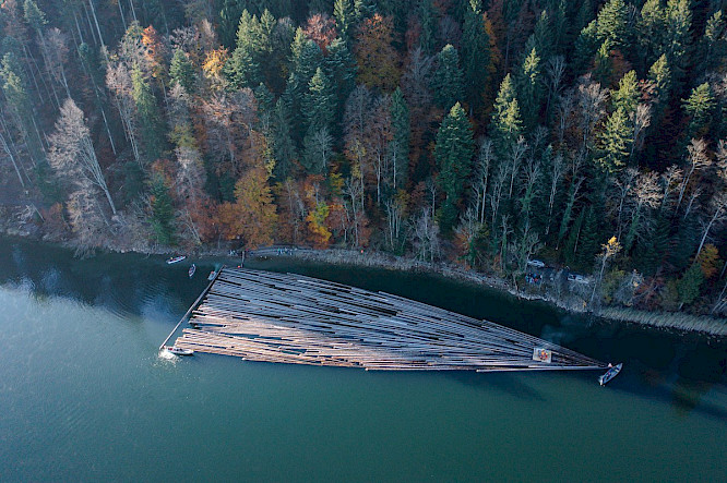 The Log Rafters of Lake Aegeri