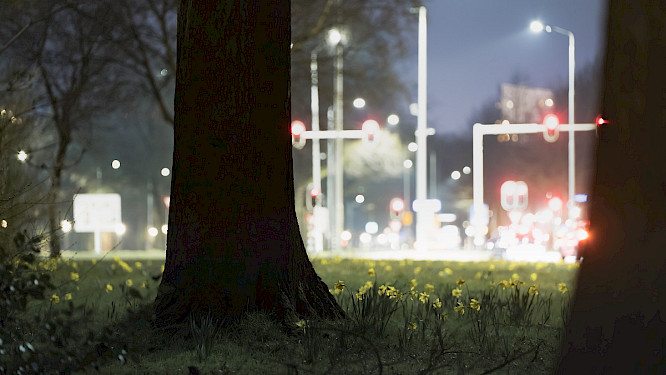 2022 Albatross World Sales GmbH | Marco Polo Film AG