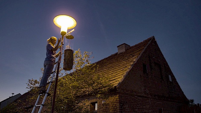 2022 Albatross World Sales GmbH | Marco Polo Film AG