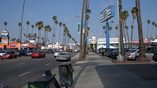 THE AFTERTHOUGHT OF LIFE