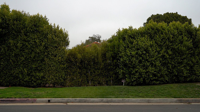 2022 Svenja Wichmann | KHM