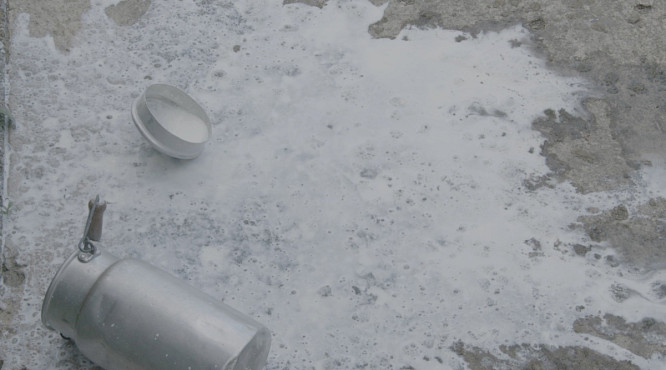 2022 DER BLAUE VOGEL BERLIN FILM&nbsp;