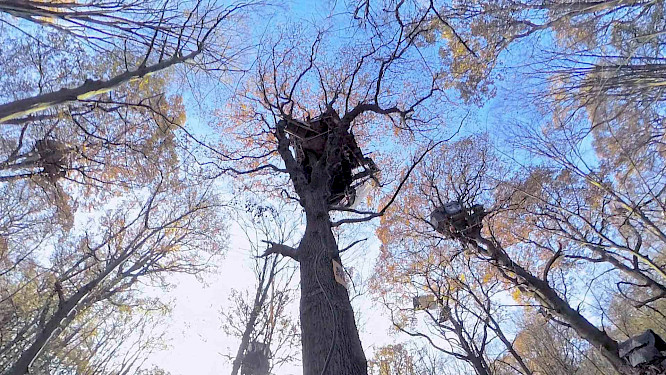 2023 Made in Germany GmbH