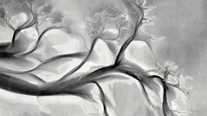 2023 Vanessa Nica Mueller