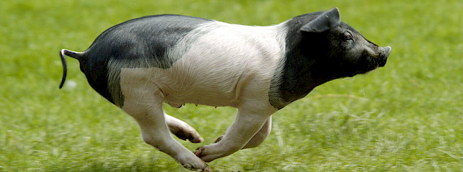 2022 DENKmal-Film Verhaag GmbH