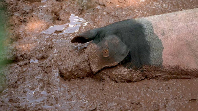 2022 DENKmal-Film Verhaag GmbH