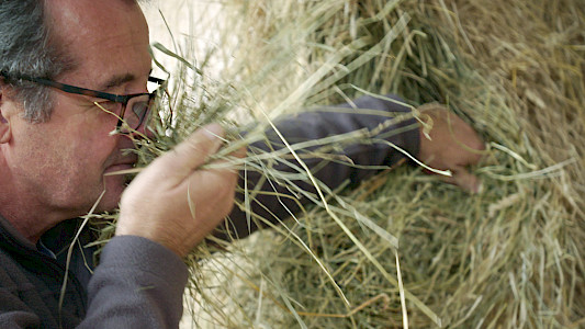 YES WE CAN... Agricultural Change NOW!