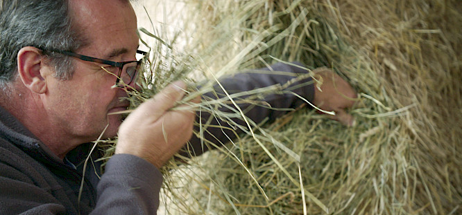 2022 DENKmal-Film Verhaag GmbH