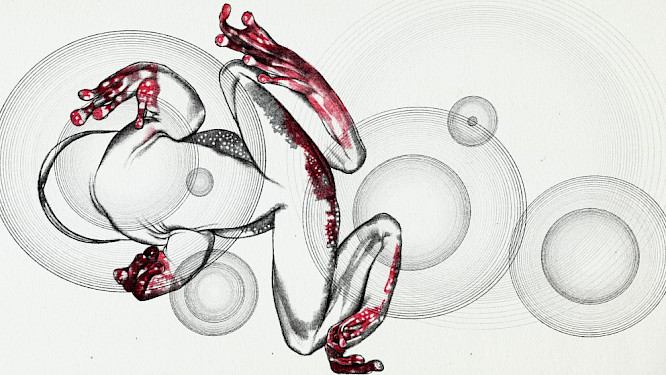 2023 Volker Schlecht