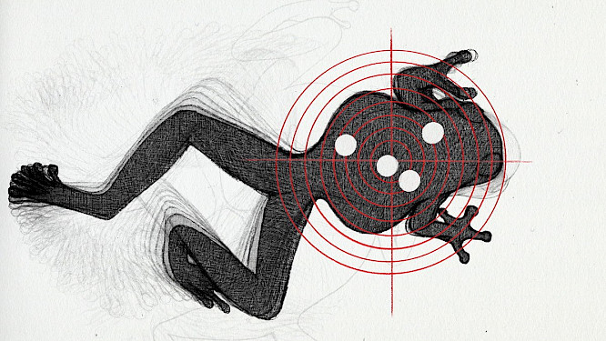 2023 Volker Schlecht