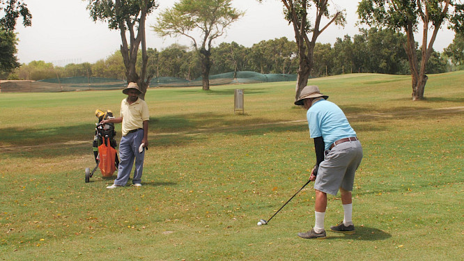 2022 Nama Filmcollective | TamTam Film | Catpics