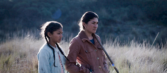 2023 Radiola Films | The Match Factory