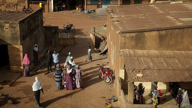 2023 Les Films de l&rsquo;&oelig;il sauvage